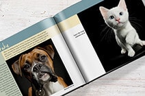 Paws for Charity Fundraising Book