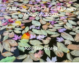 Fallen or about to Fall Leaves book cover