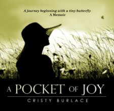 A Pocket Of Joy book cover