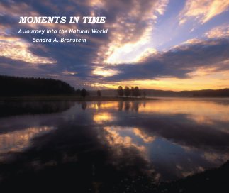 MOMENTS IN TIME book cover