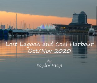 Lost Lagoon and Coal Harbour book cover
