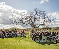 Libro de fotos de boda de Stacy Cruz y Luis Navarrete